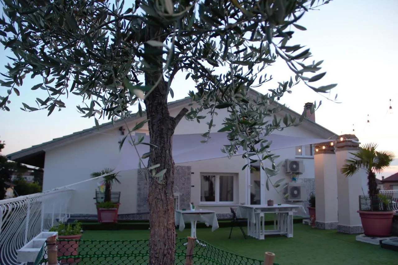 Terrazza Zalamella Bed And Breakfast Ravenna Bed & Breakfast